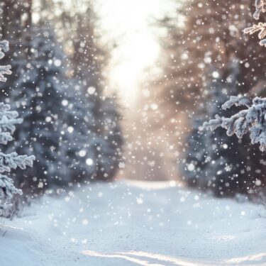 X-Frame Motivhintergrund Winter forest